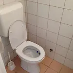 Vida-lak Prázdninový dům Berekfürdő