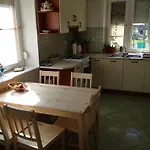 Vida-lak