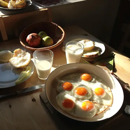 Vida-lak Tatil Evi